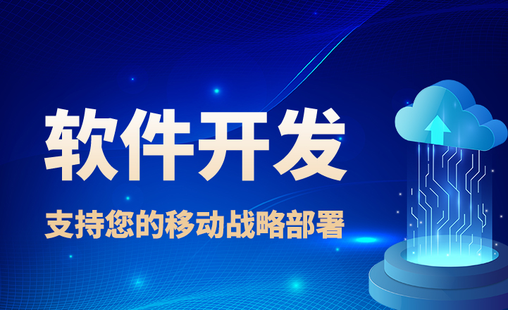 軟件定制開(kāi)發(fā)